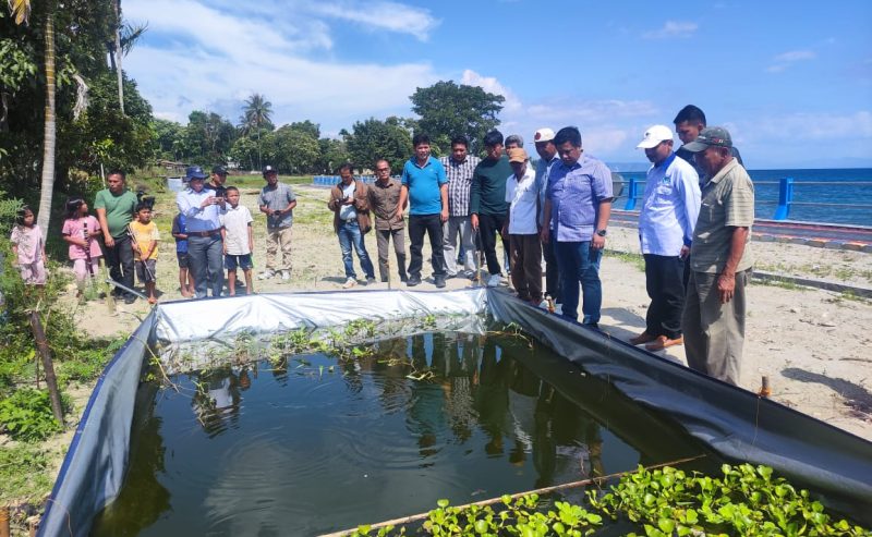 Bupati Samosir Monitoring Penyaluran Bantuan Kolam Terpal dan Bibit Ikan di Desa Sipinggan