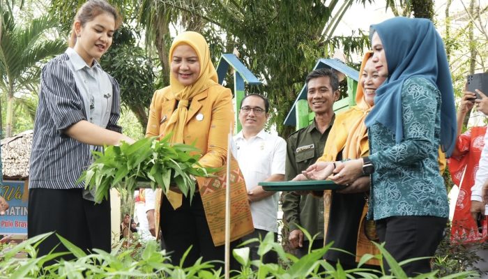Kelurahan Pulo Brayan Bengkel Baru Mengoptimalkan Lahan Tidur Menjadi Lumbung Hidup