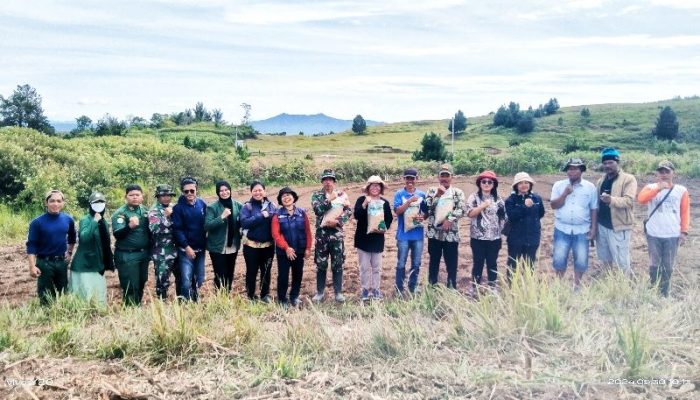 Penanaman Perdana Padi Gogo di Kabupaten Samosir untuk Mengantisipasi Krisis Pangan