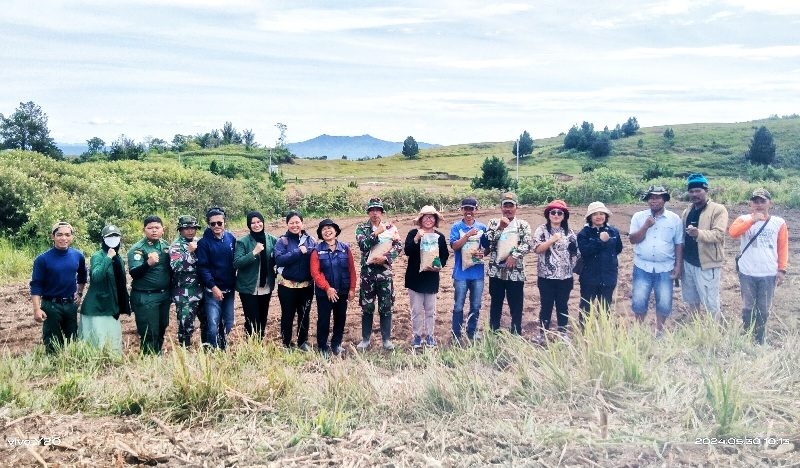 Penanaman Perdana Padi Gogo di Kabupaten Samosir untuk Mengantisipasi Krisis Pangan