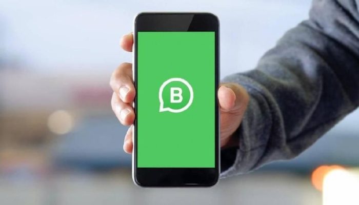 Cara Mendapatkan WhatsApp Centang Hijau untuk Pemilik Usaha