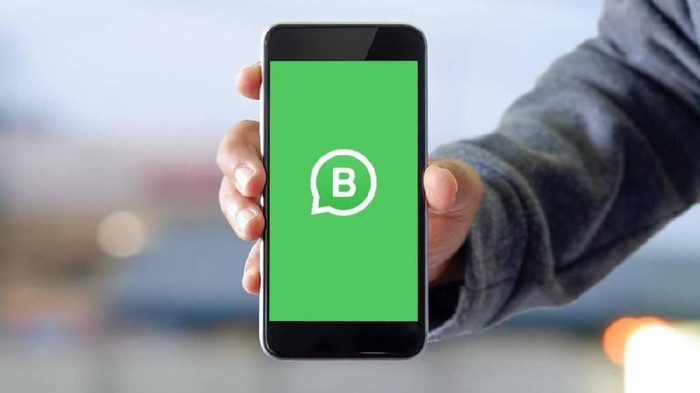 Cara Mendapatkan WhatsApp Centang Hijau untuk Pemilik Usaha