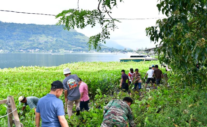 Pemerintah Kabupaten Samosir Dukung Aksi Kebersihan Eceng Gondok di Danau Toba