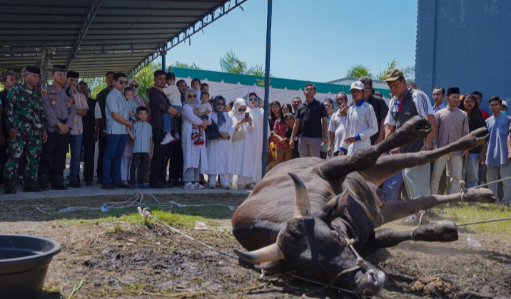Wali Kota Medan, Bobby Nasution dan Keluarga Berkurban Tiga Ekor Sapi di Masjid Jami’ Hanifah