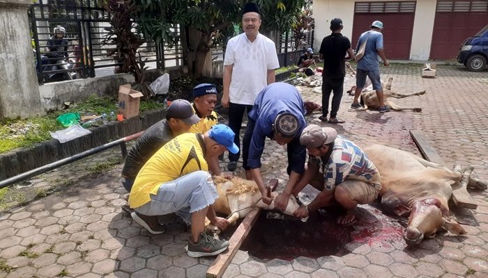 PWI Sumut Sembelih 5 Ekor Sapi dan 3 Kambing, Farianda: Alhamdulillah Semakin Banyak yang Berkurban
