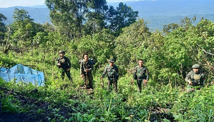 Prajurit Yonif 123/Rajawali Temukan Ladang Ganja Seluas 1 Hektare