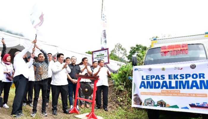Andaliman Endemik Danau Toba Kabupaten Samosir Kini Diekspor ke Luar Negeri