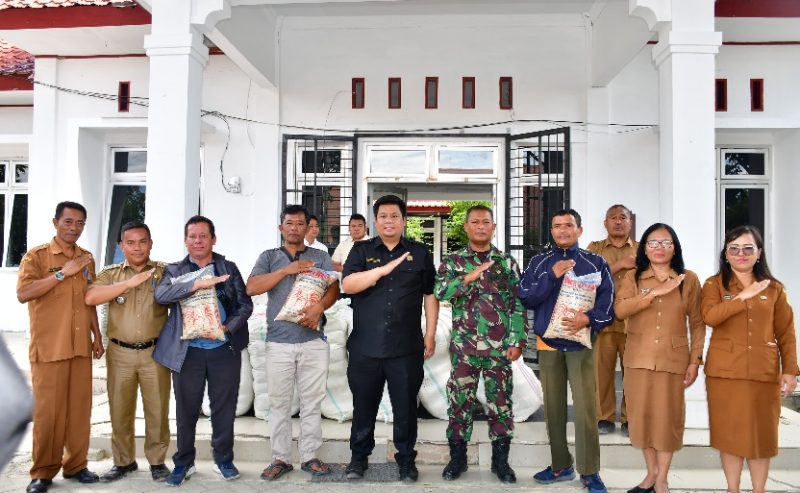 Bupati Samosir Vandiko T. Gultom Salurkan Bantuan Bibit Padi 6.000 kg ke 33 Kelompok Tani