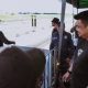 Wali Kota Medan, Bobby Nasution, Ikut Balapan Drag Race di Ex Bandara Polonia