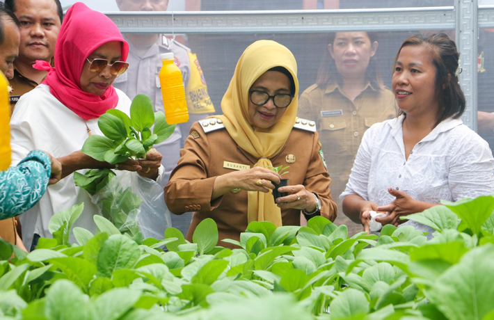 Wali Kota Pematangsiantar Dr. Susanti Dewayani Panen Perdana Hidroponik dan Tutup Pelatihan Dana Kelurahan