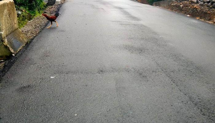Ditutup Selama 2 Bulan, Kini Jalan Sibolga-Tarutung Lewat Batu Lubang Dibuka Kembali