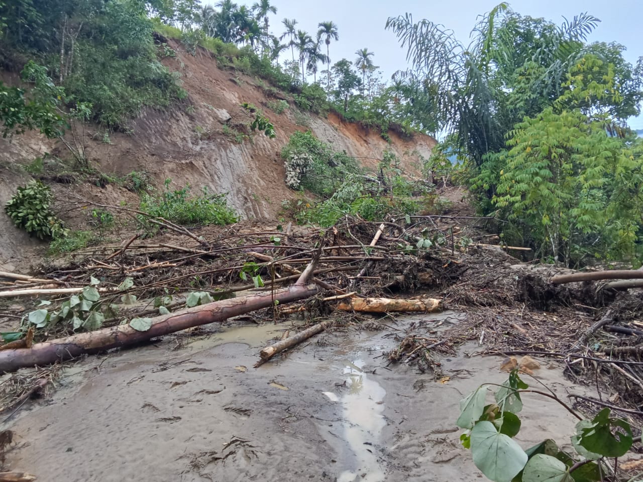 Cuaca Ekstrem di Kabupaten Dairi Sebabkan Longsor dan Banjir di Beberapa Titik
