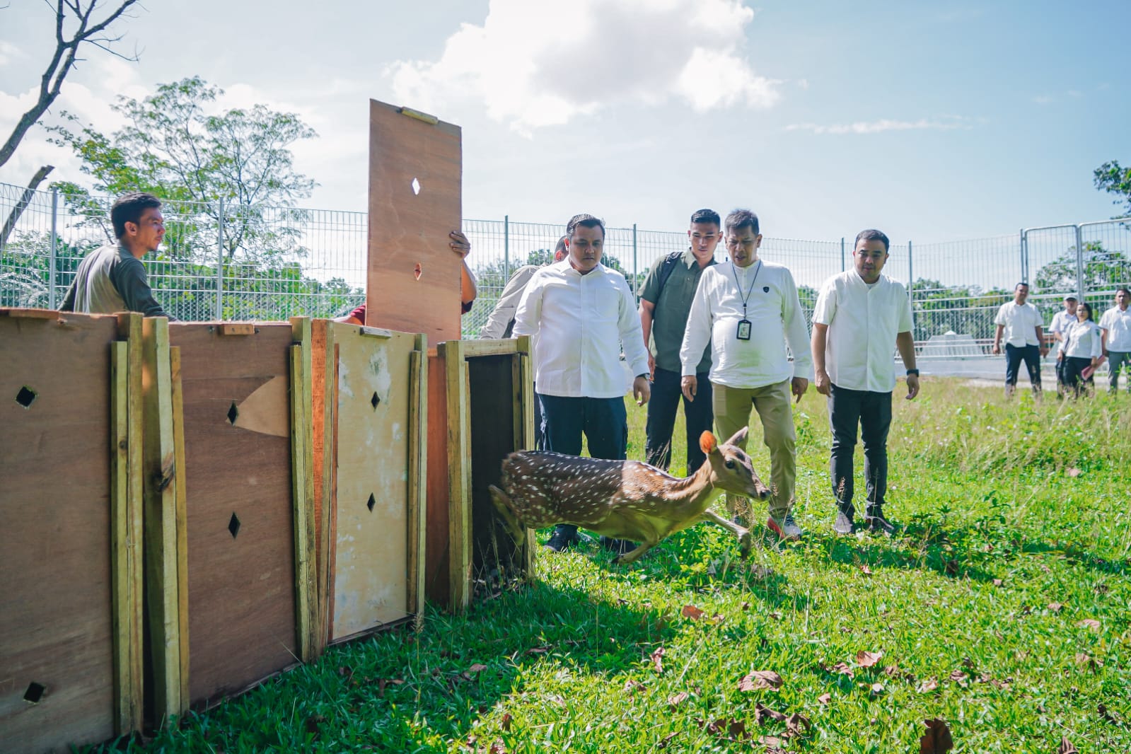 15 Rusa Totol dari Istana Kepresidenan Bogor Menambah Koleksi Satwa di Taman Cadika Medan