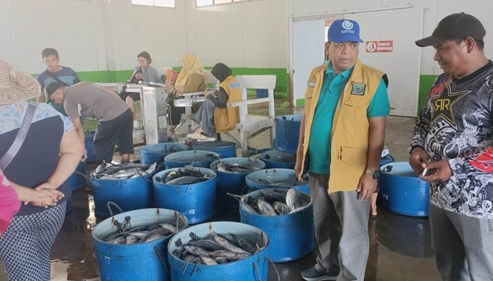 Kalabu Pastikan Stok Ikan di Sibolga-Tapteng Selama Nataru Sangat Mencukupi