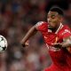 Virgil van Dijk Puji Perkembangan Ryan Gravenberch: Sosok Vital di Lini Tengah Liverpool