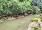 Sungai Bah Sambu Sipispis Tidak Tercemar Limbah, PKS TSP Bersihkan Bantaran Sungai Siapkan Land Application