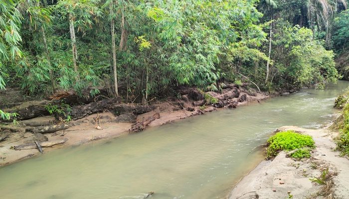Sungai Bah Sambu Sipispis Tidak Tercemar Limbah, PKS TSP Bersihkan Bantaran Sungai Siapkan Land Application