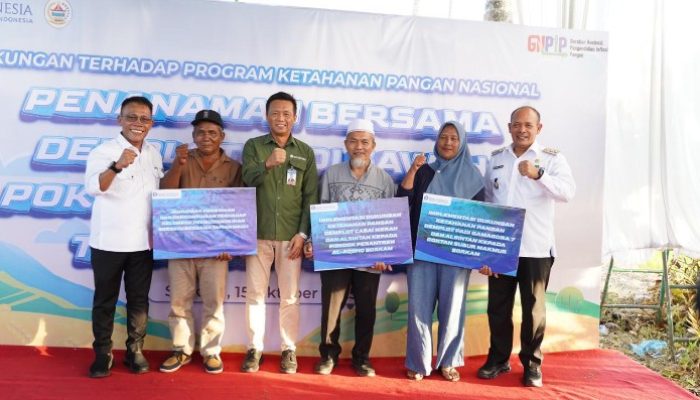 Tapteng Urutan ke 13 Luas Areal Sawah Namun Urutan 30 Hasil Produksi Padi