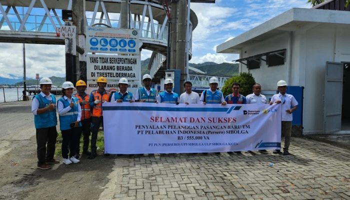 Elektrifikasi Fixed Crane Tingkatkan Efisiensi dan Ramah Lingkungan di Pelabuhan Sibolga