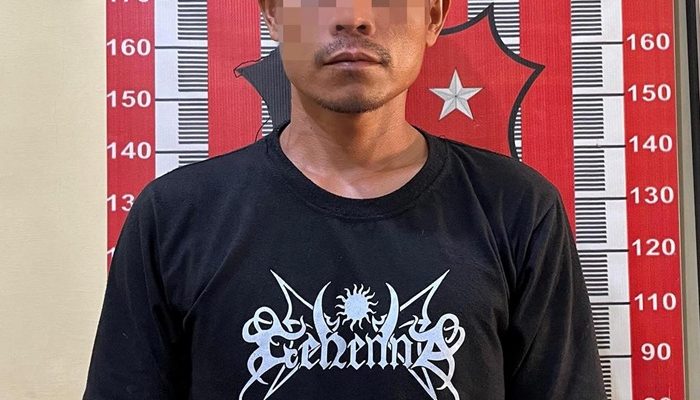 Pria Ini Diduga Cabuli Anak di Bawah Umur Usai Antarkan Keluarganya ke Bandara Silangit