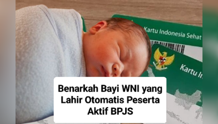 Ini Penjelasan Terkait Bayi WNI yang Katanya Otomatis Peserta Aktif BPJS
