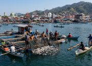 Perikanan Sibolga Jadi Tulang Punggung Ekonomi Pesisir di Sumatera Utara
