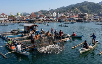 Perikanan Sibolga Jadi Tulang Punggung Ekonomi Pesisir di Sumatera Utara