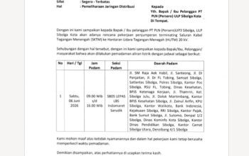 Besok Terjadi Pemadaman PLN Selama 6 Jam, Ini Lokasi dan Penyebabnya