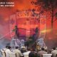 Negara Kecolongan Hutan Dibakar, Oknum Sibuk Nanam Bibit Pohon Kelapa Sawit